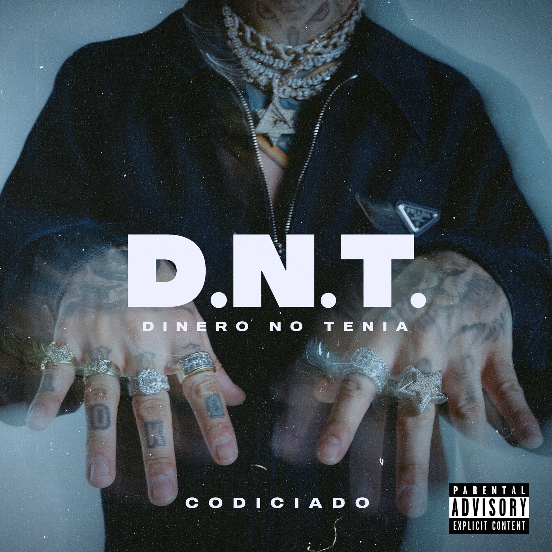 Album cover of Dinero No Tenia