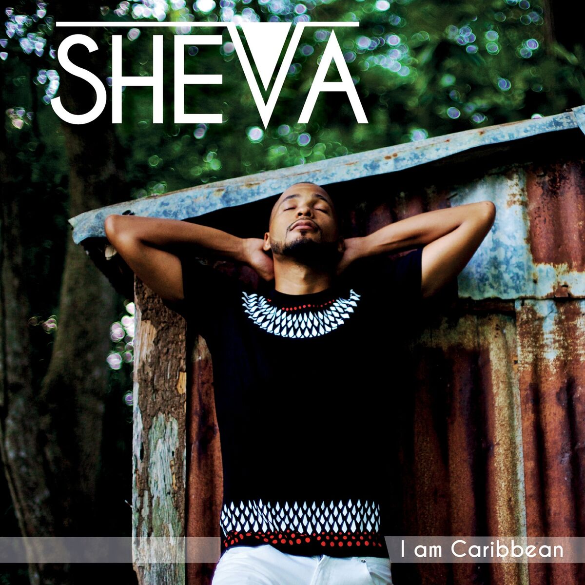 Album cover of I Am Caribbean