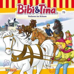 Cover of Folge 73: Verloren im Schnee
