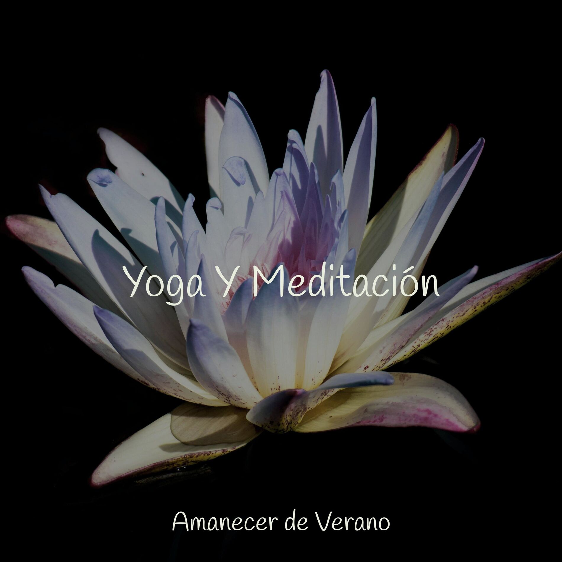 Album cover of Yoga Y Meditación