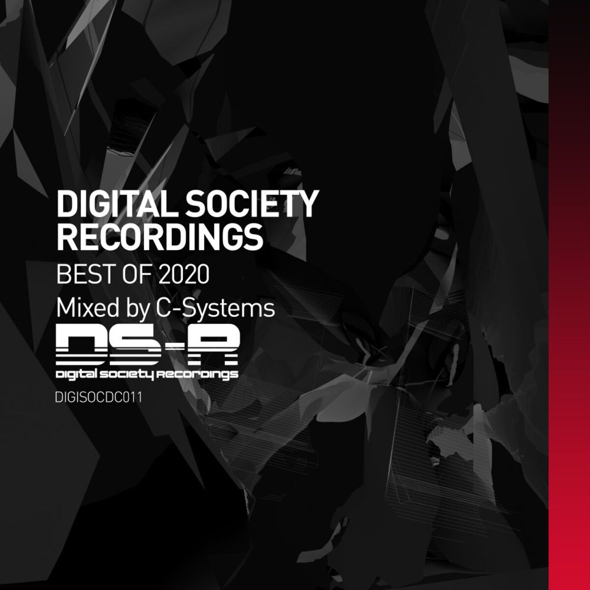 Album cover of DS-R Best of 2020, mixed by C-Systems