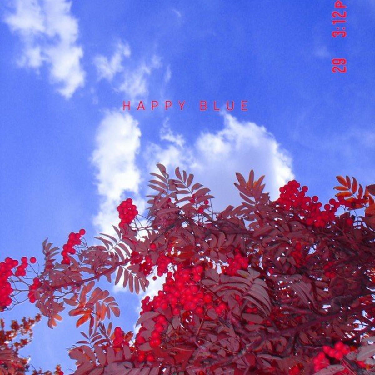 Album cover of Happy Blue