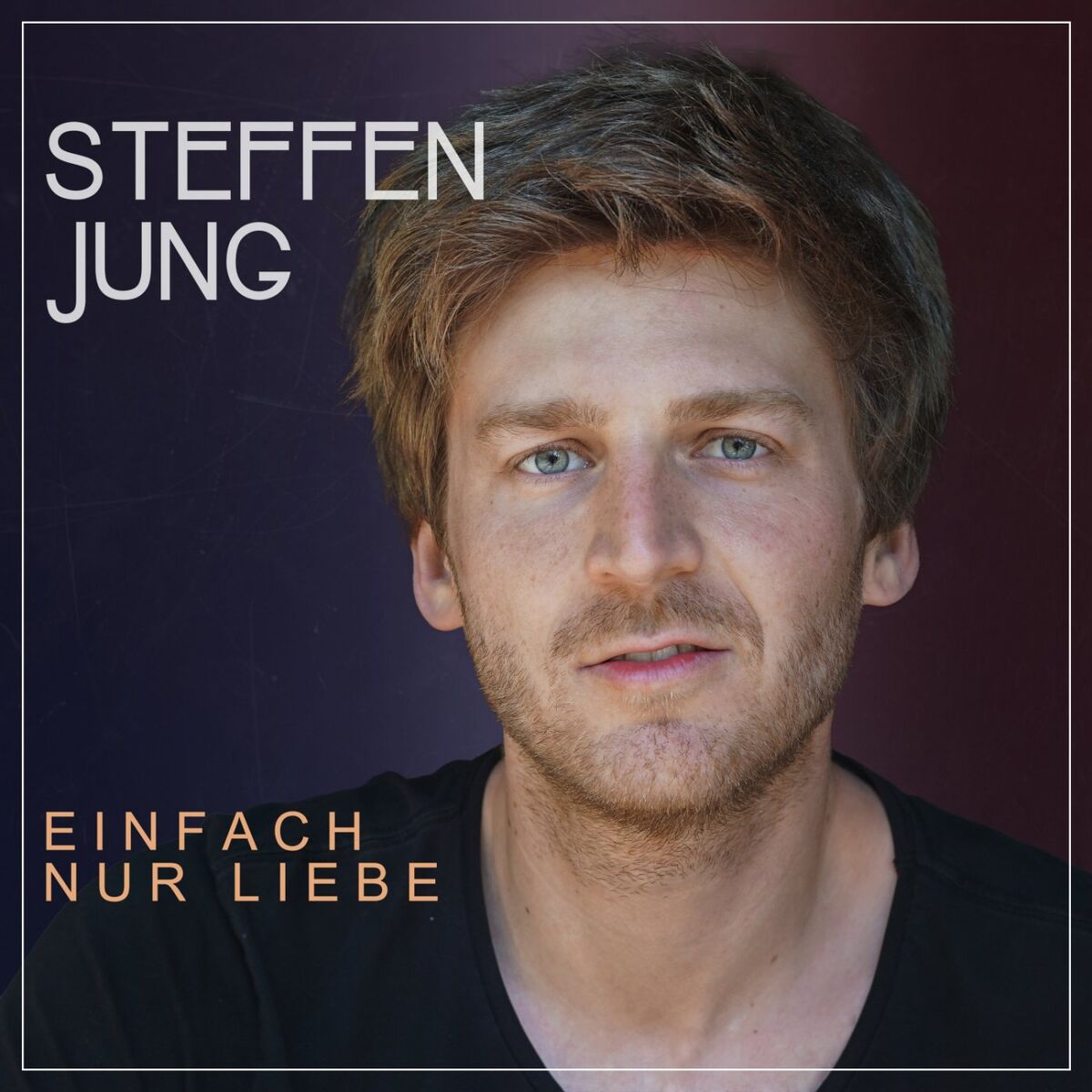 Album cover of Einfach nur Liebe