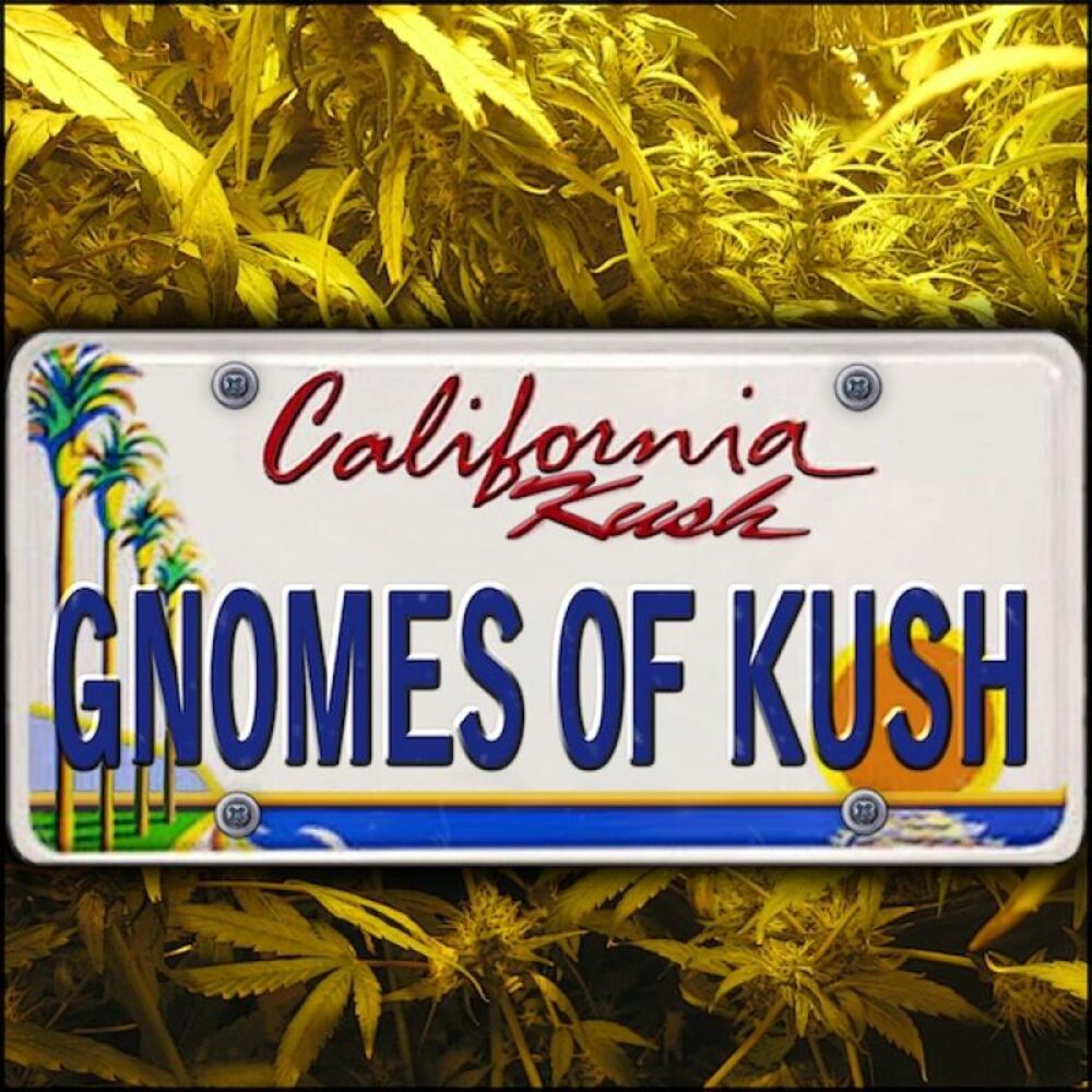Picture of California Kush