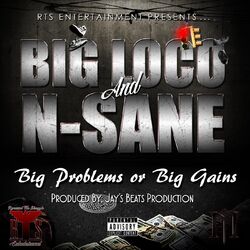 Cover of Big Problems or Big Gains