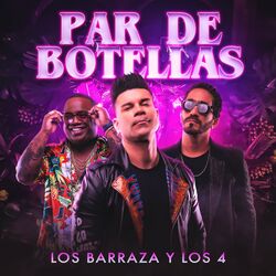 Cover of Par de Botellas