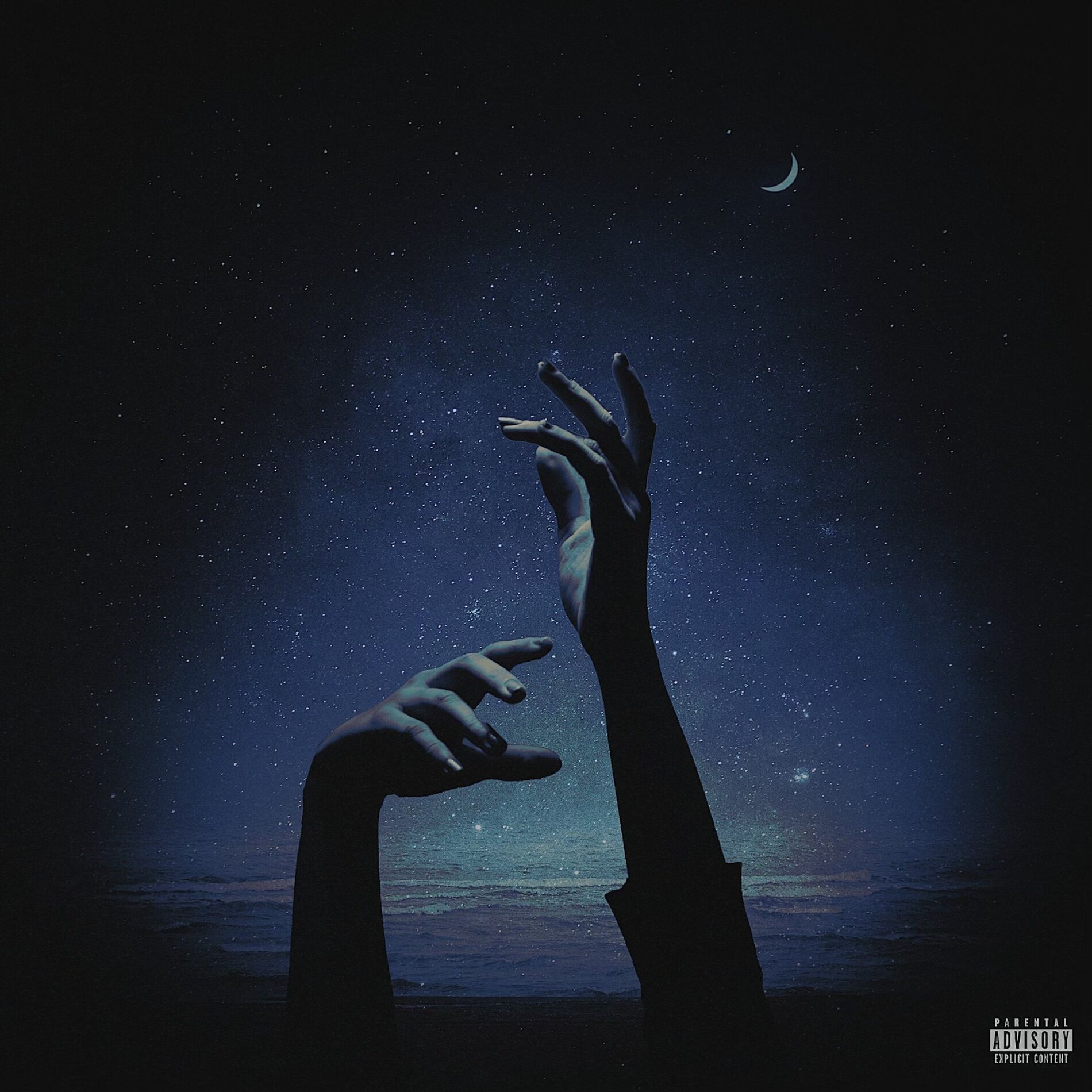 Album cover of For You