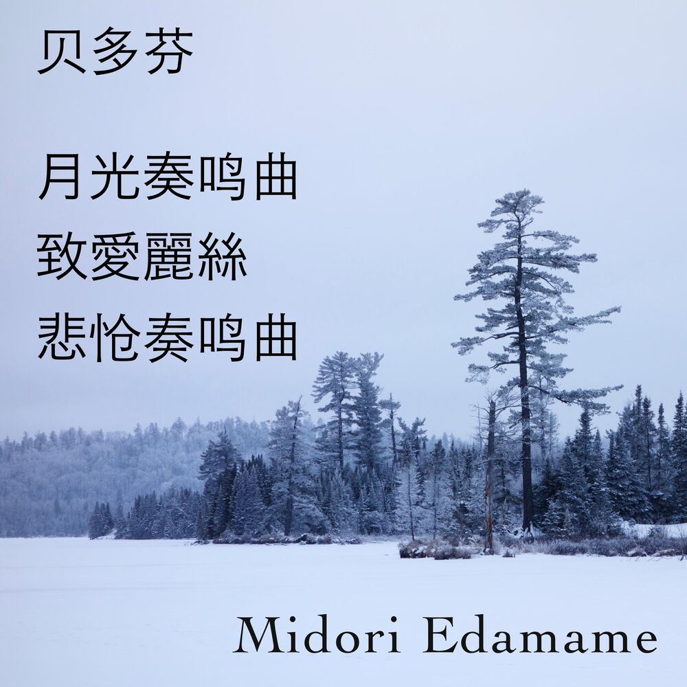 Picture of 贝多芬: 月光奏鸣曲・致愛麗絲・悲怆奏鸣曲