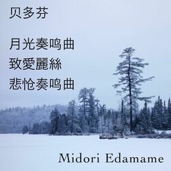 Cover of 贝多芬: 月光奏鸣曲・致愛麗絲・悲怆奏鸣曲