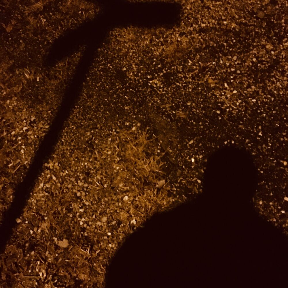 Picture of Roots Freestyle