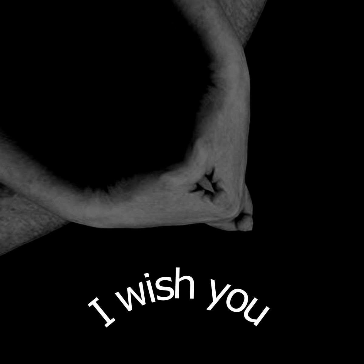 Album cover of I Wish You