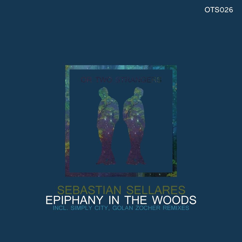Picture of Epiphany in the Woods
