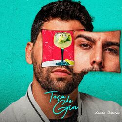 Cover of Taça de Gin