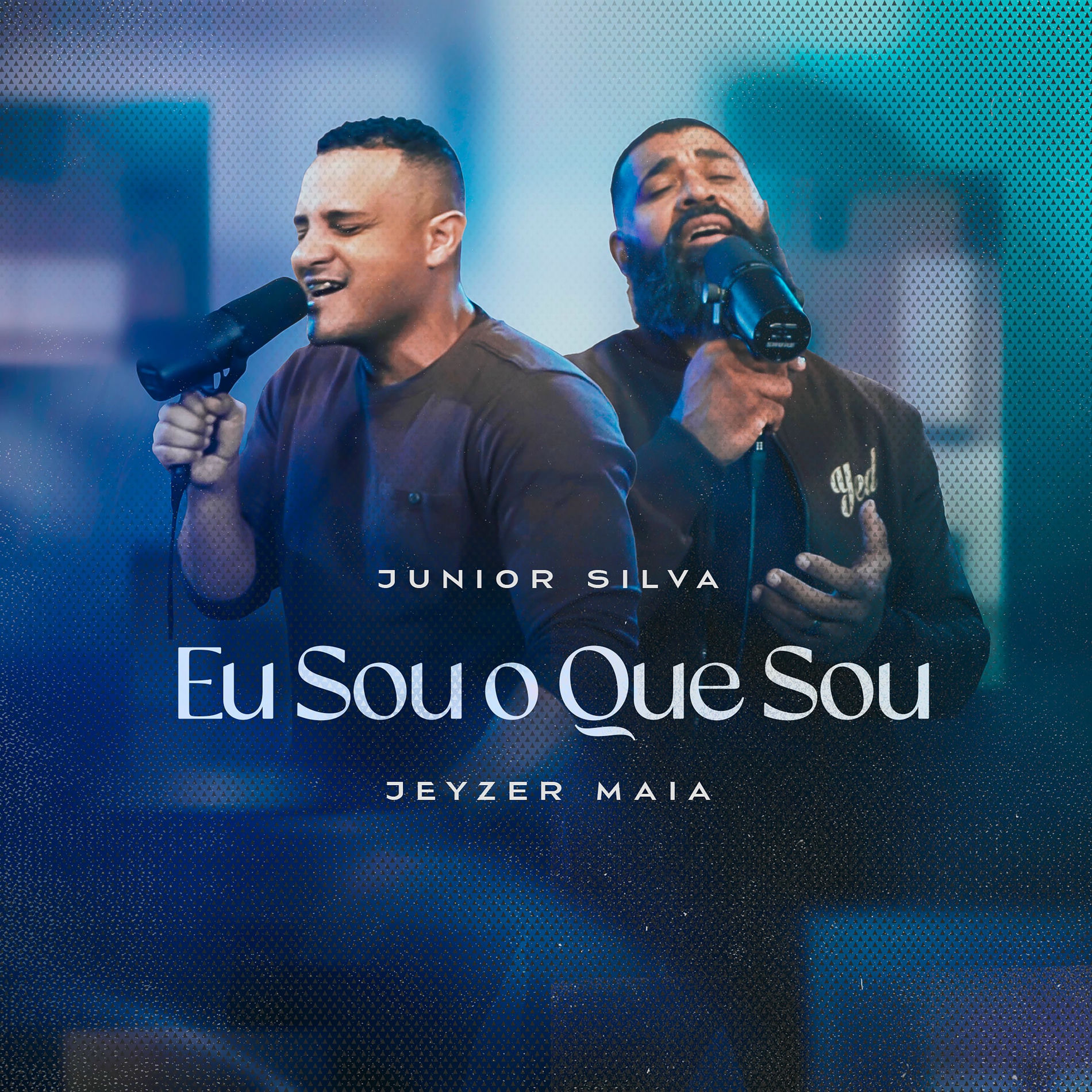 Album cover of Eu Sou o Que Sou