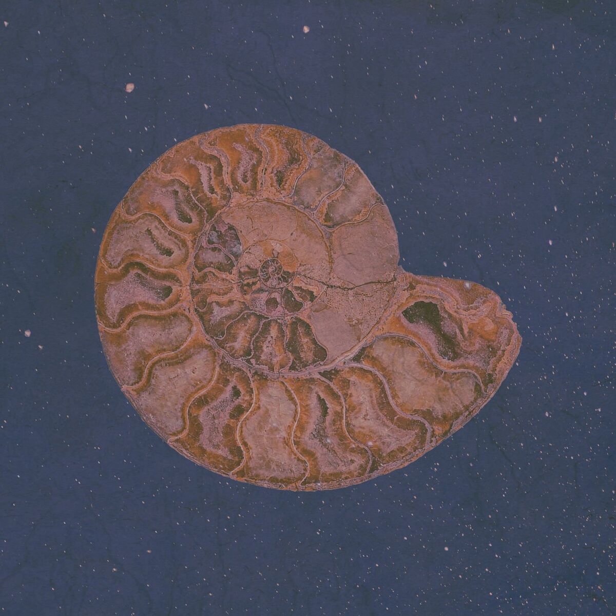 Album cover of Passim II