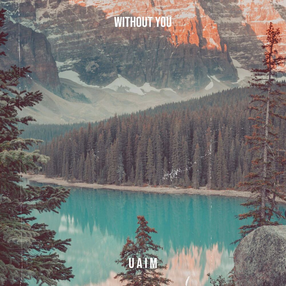 Picture of Without You