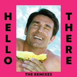 Cover of Hello There (The Remixes)