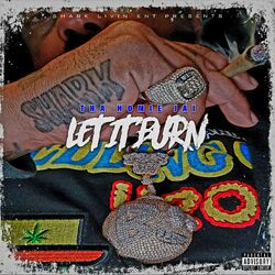 Cover of LET IT BURN
