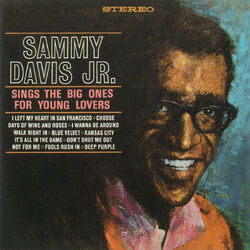 Cover of Sings The Big Ones For Young Lovers
