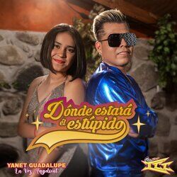 Cover of Dónde Estará El Estupido