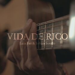 Cover of Vida De Rico