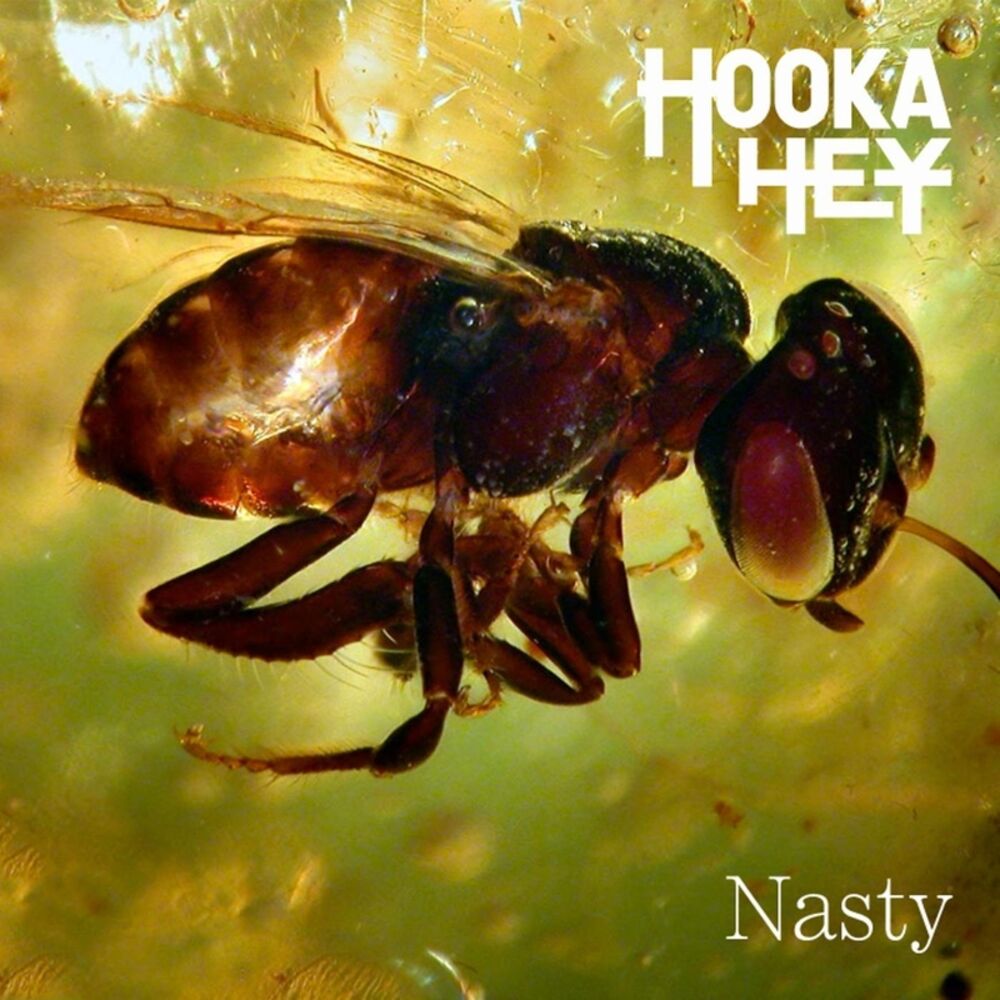 Picture of Nasty