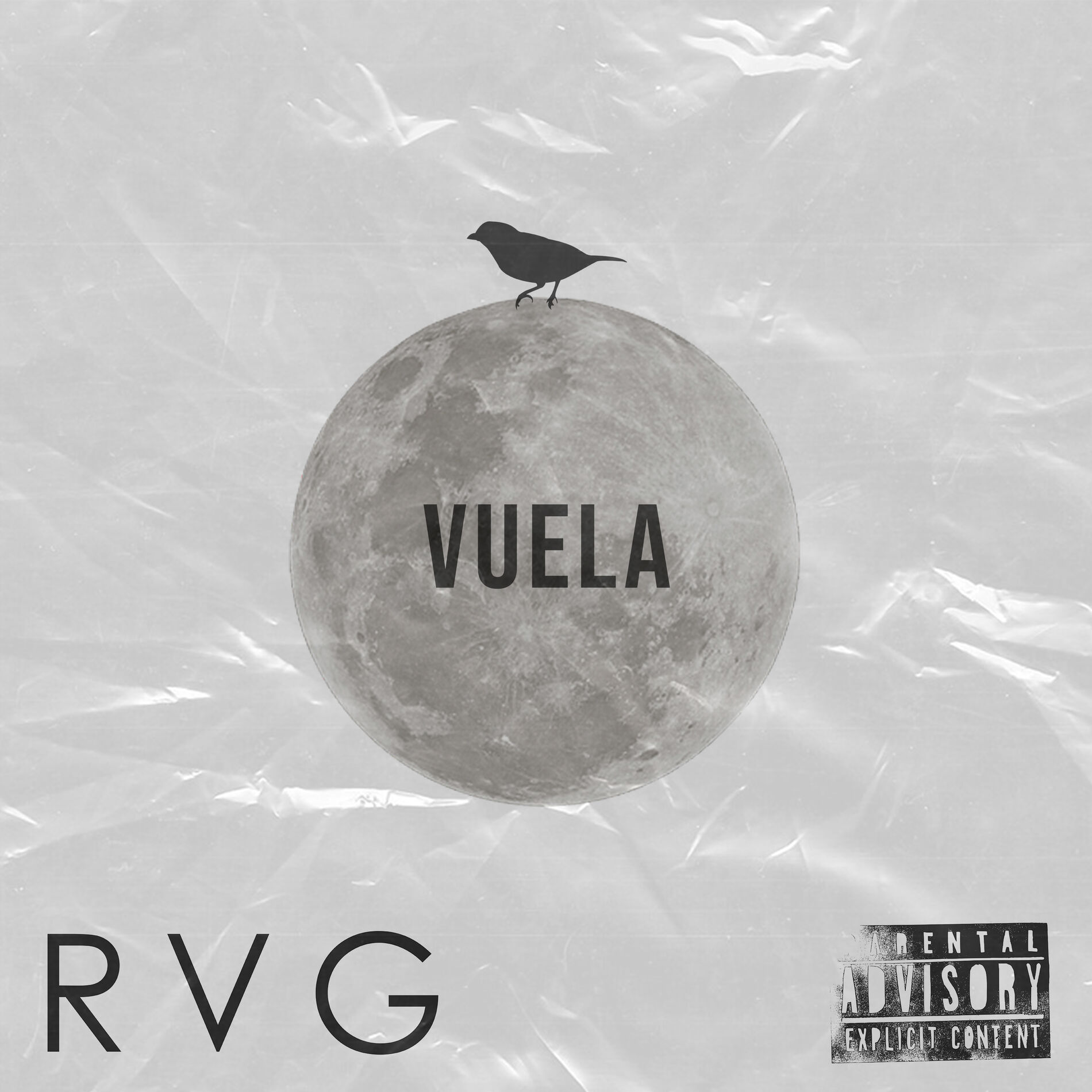 Album cover of Vuela