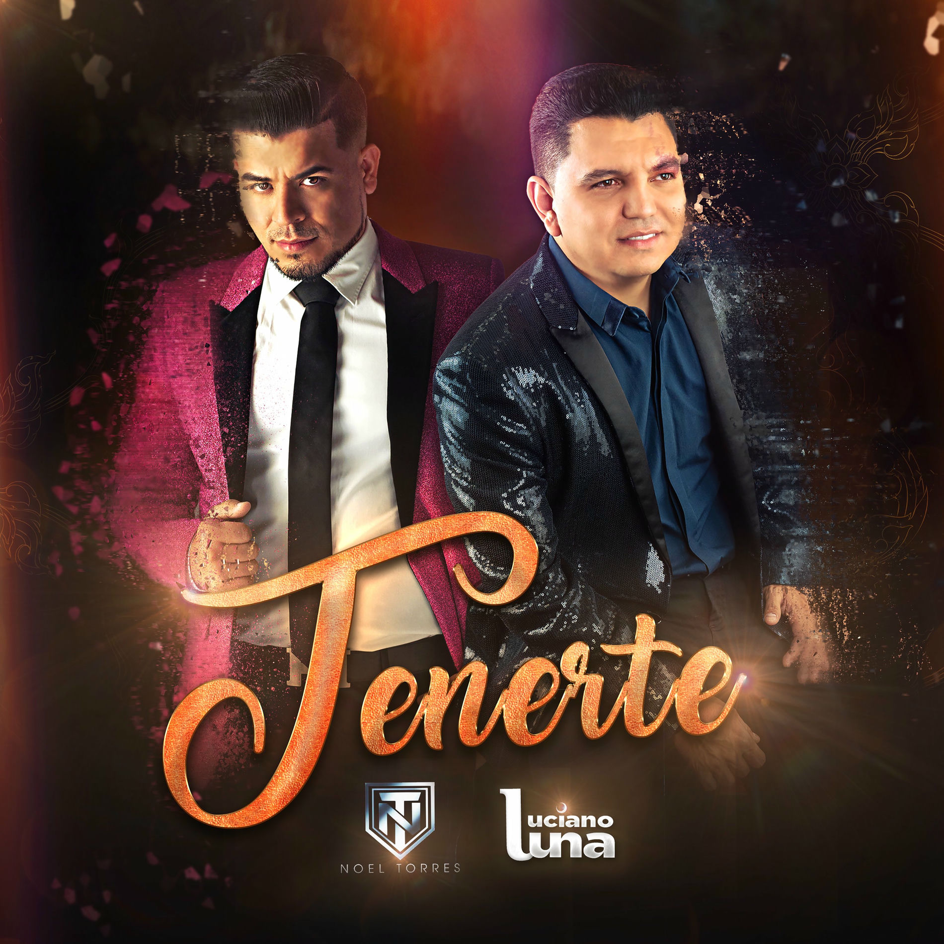 Album cover of Tenerte