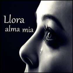 Cover of Llora alma mía