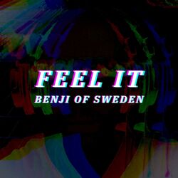 Cover of Feel It