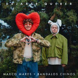 Cover of dejarse querer