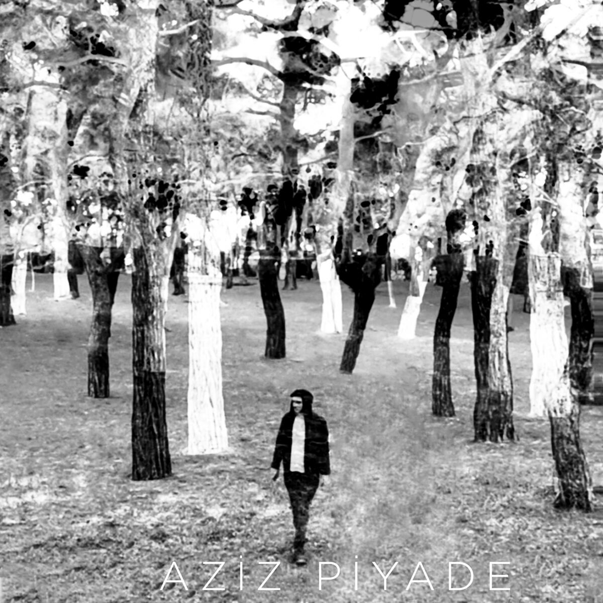 Album cover of Bu Şehri Yakın