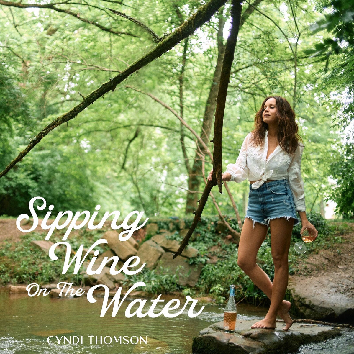 Album cover of Sipping Wine on the Water