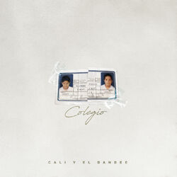 Cover of Colegio