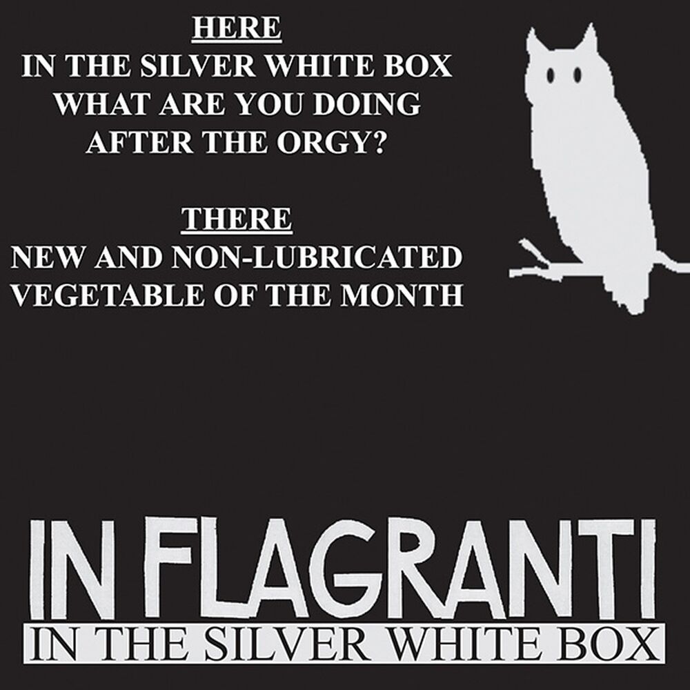 Picture of In the Silver White Box EP