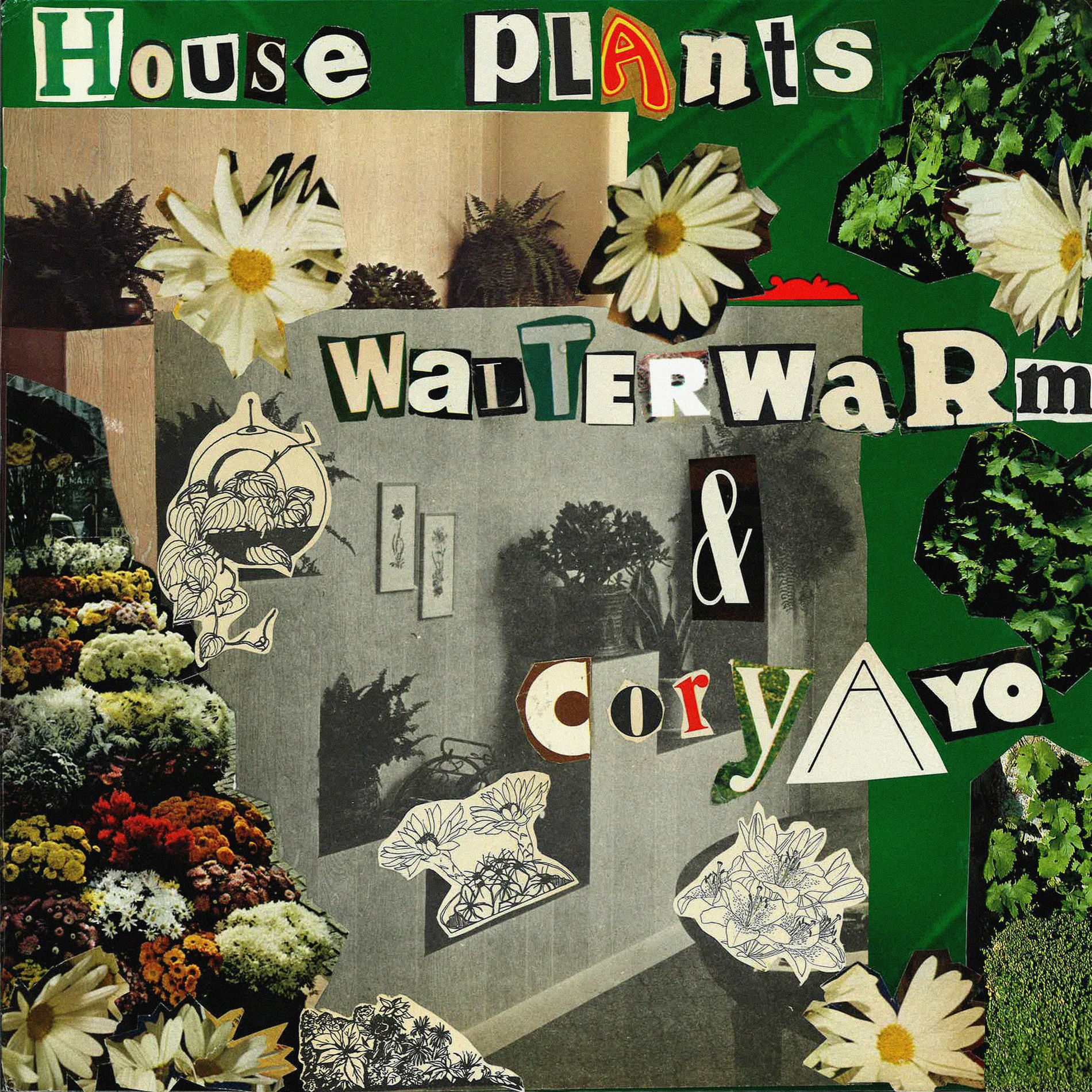 Album cover of House Plants