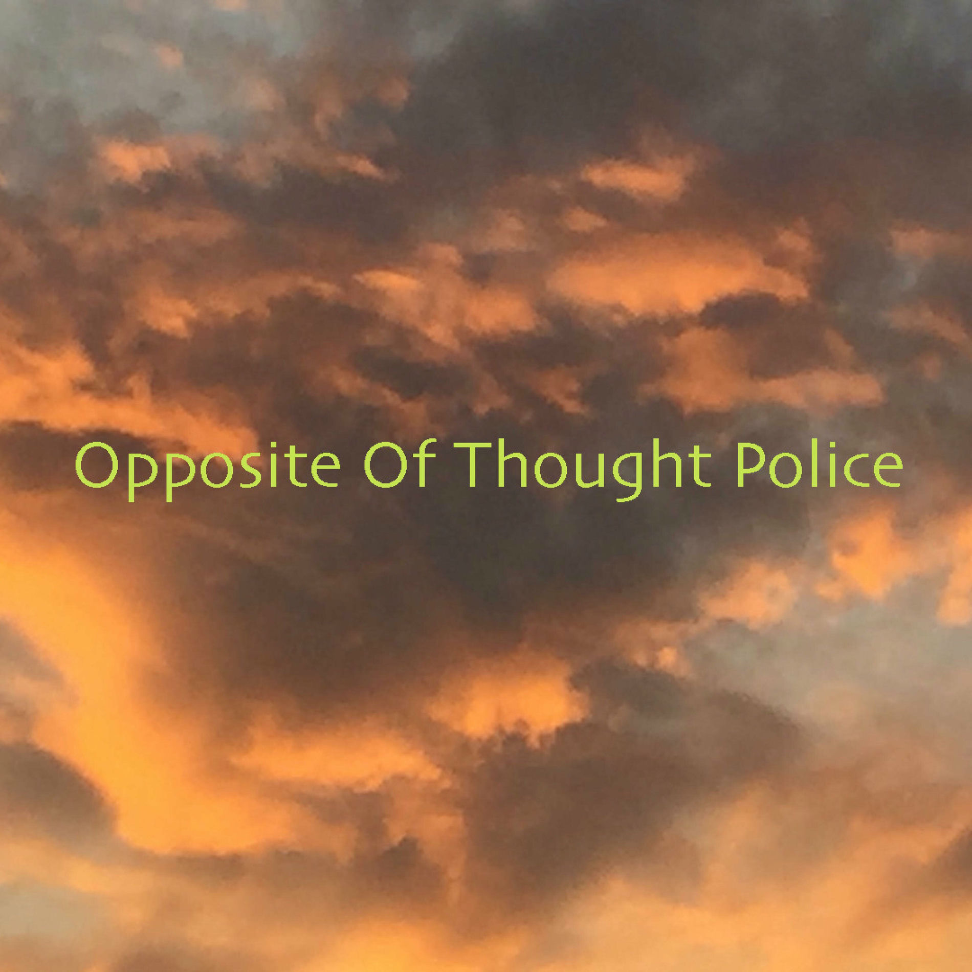 Album cover of Opposite Of Thought Police
