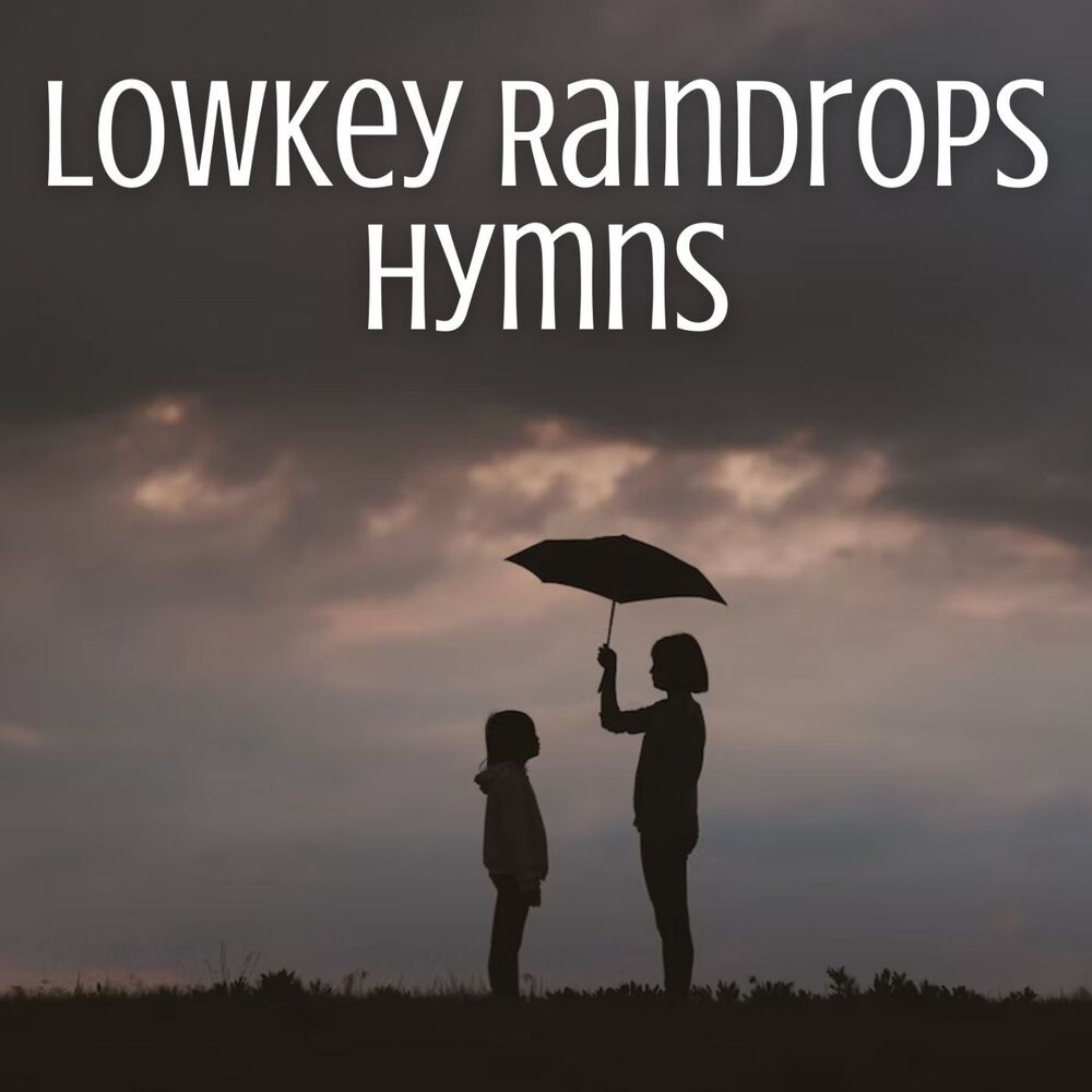 Picture of Lowkey Raindrops Hymns
