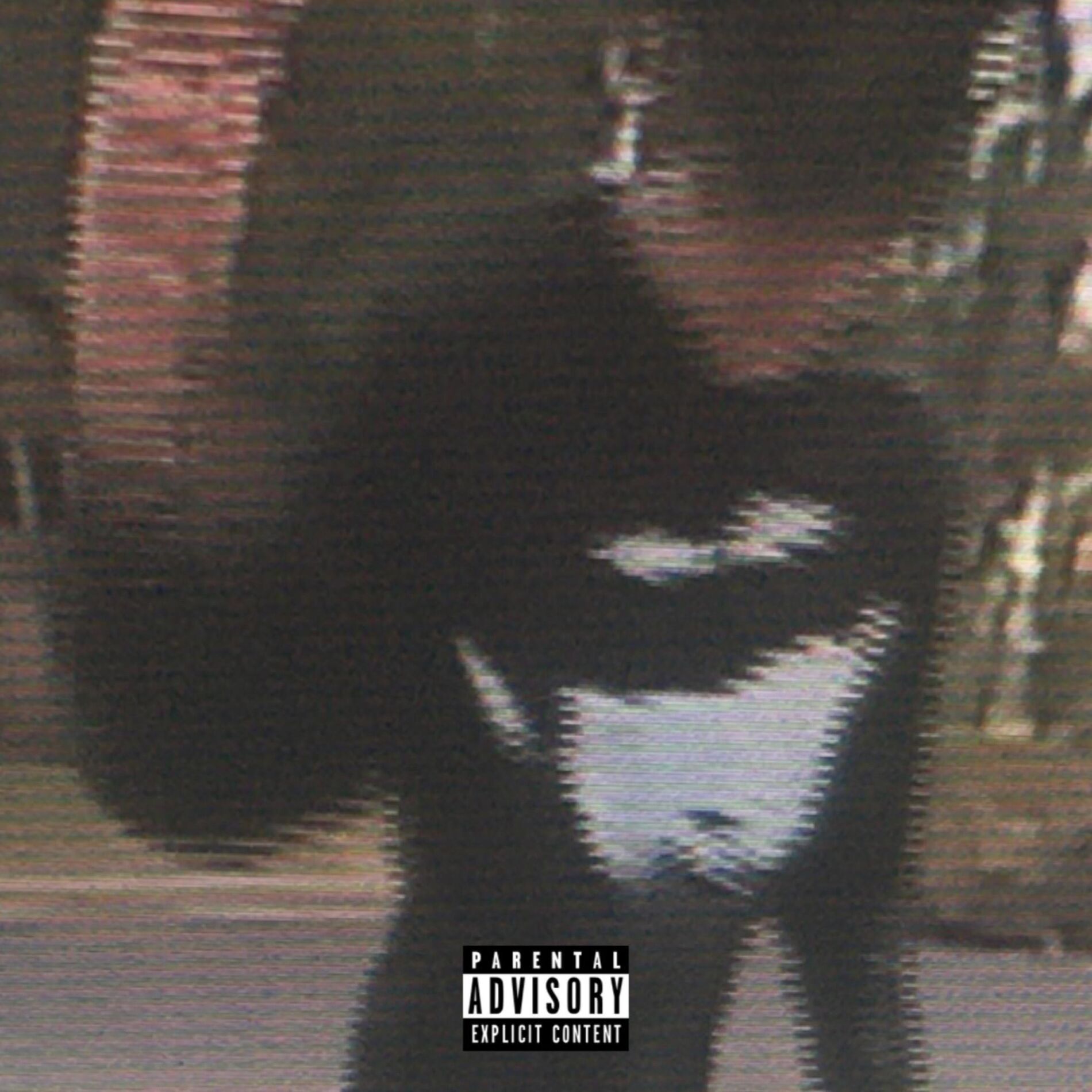Album cover of Wild Dark Horse
