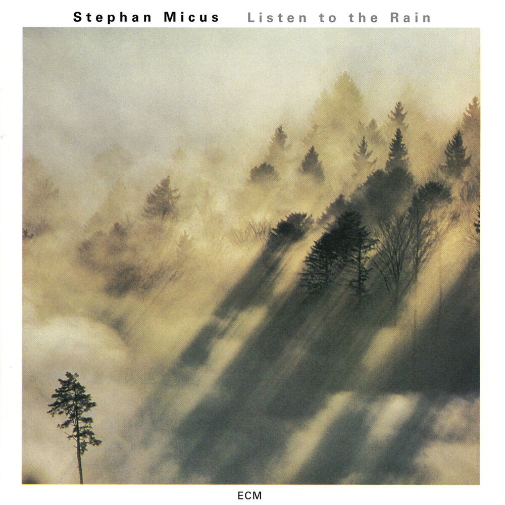 Picture of Listen To The Rain