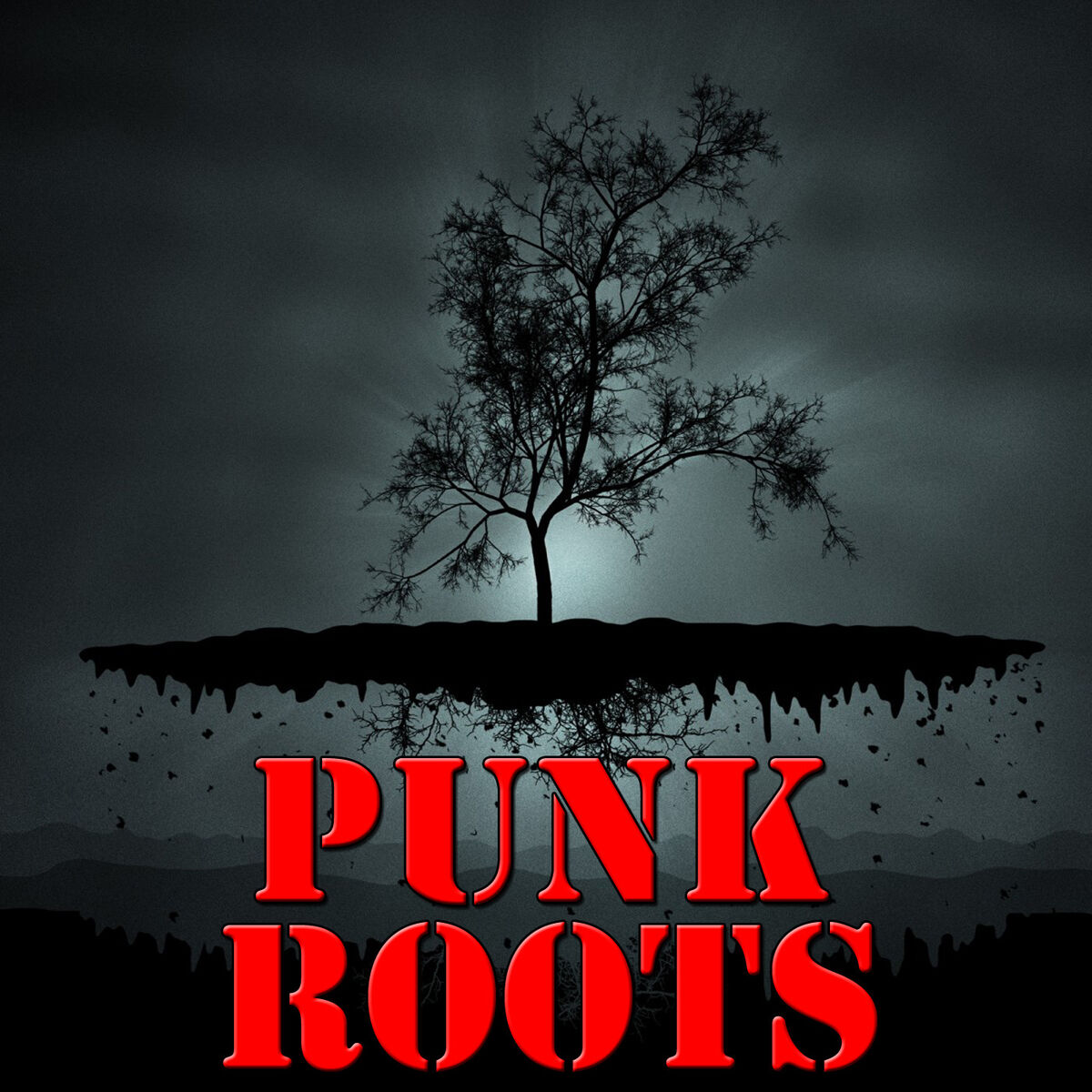 Album cover of Punk Roots, Vol.2