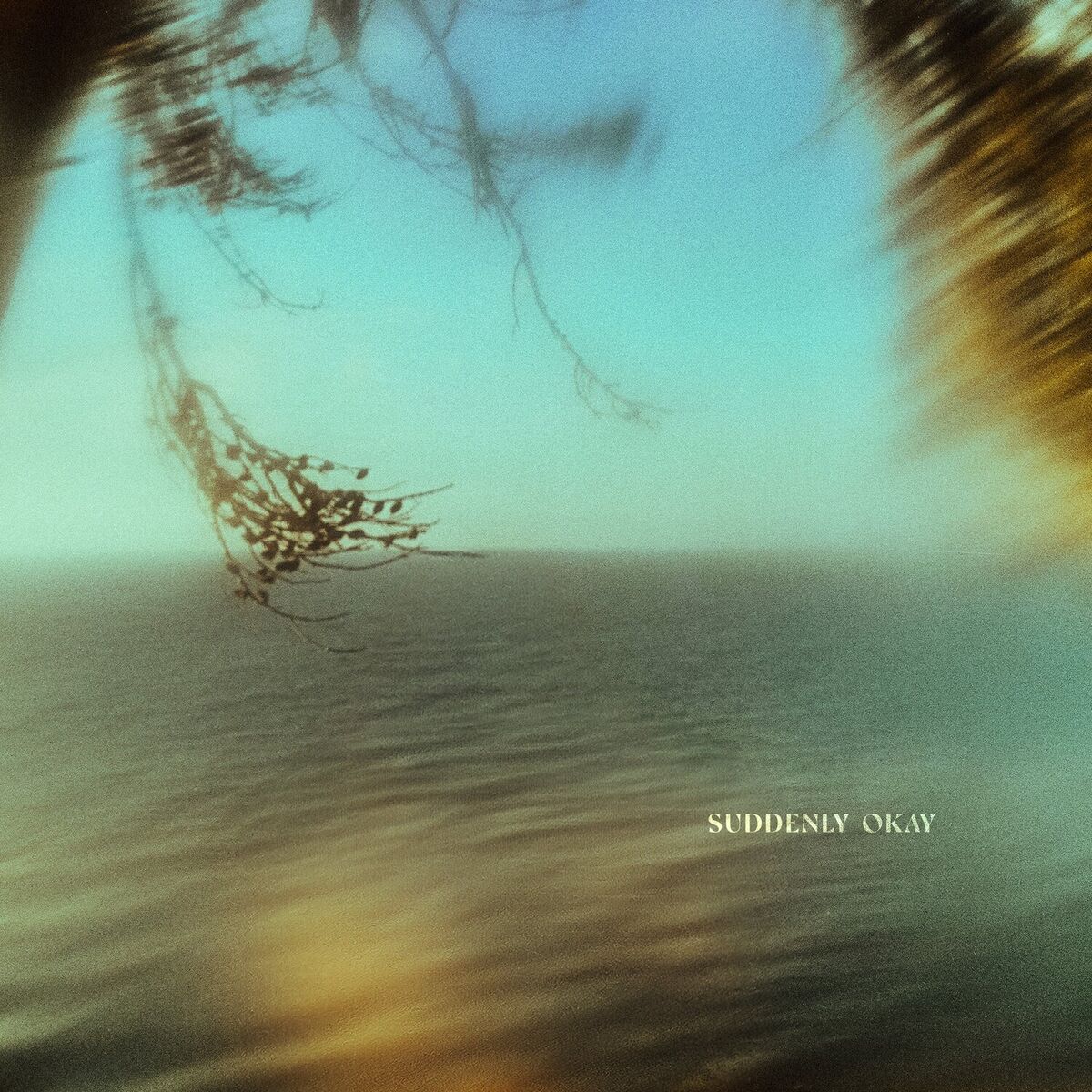Album cover of Suddenly Okay
