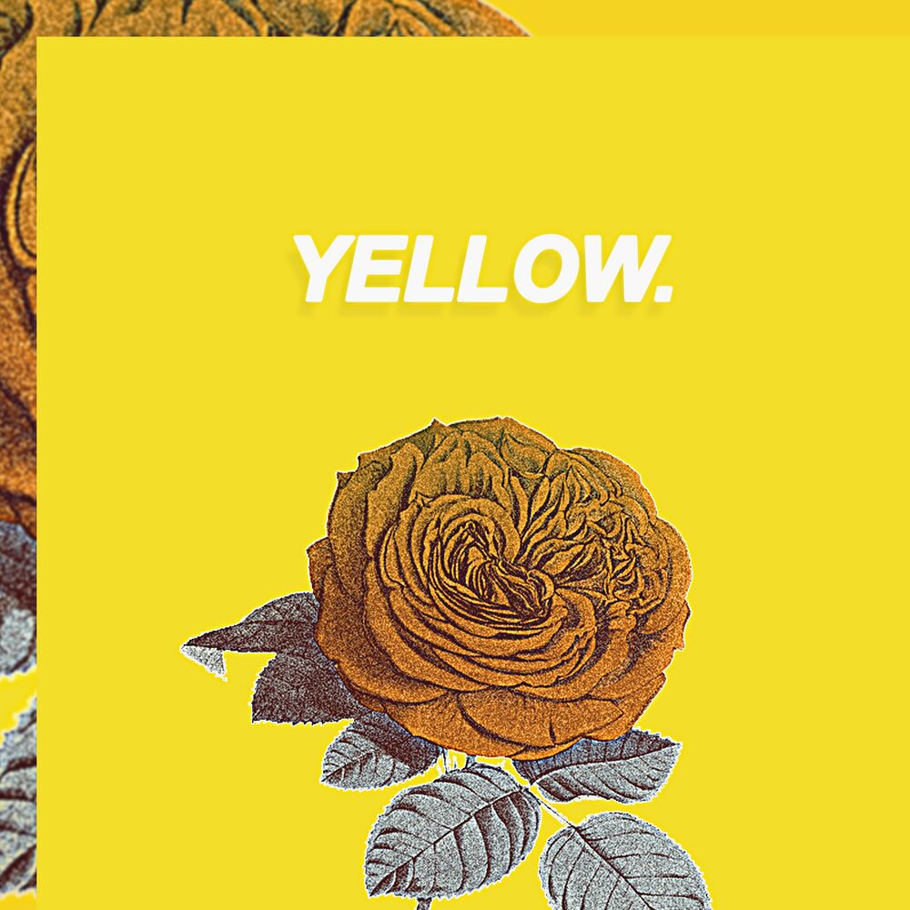 Picture of YELLOW.