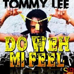 Cover of Do Weh MI Feel