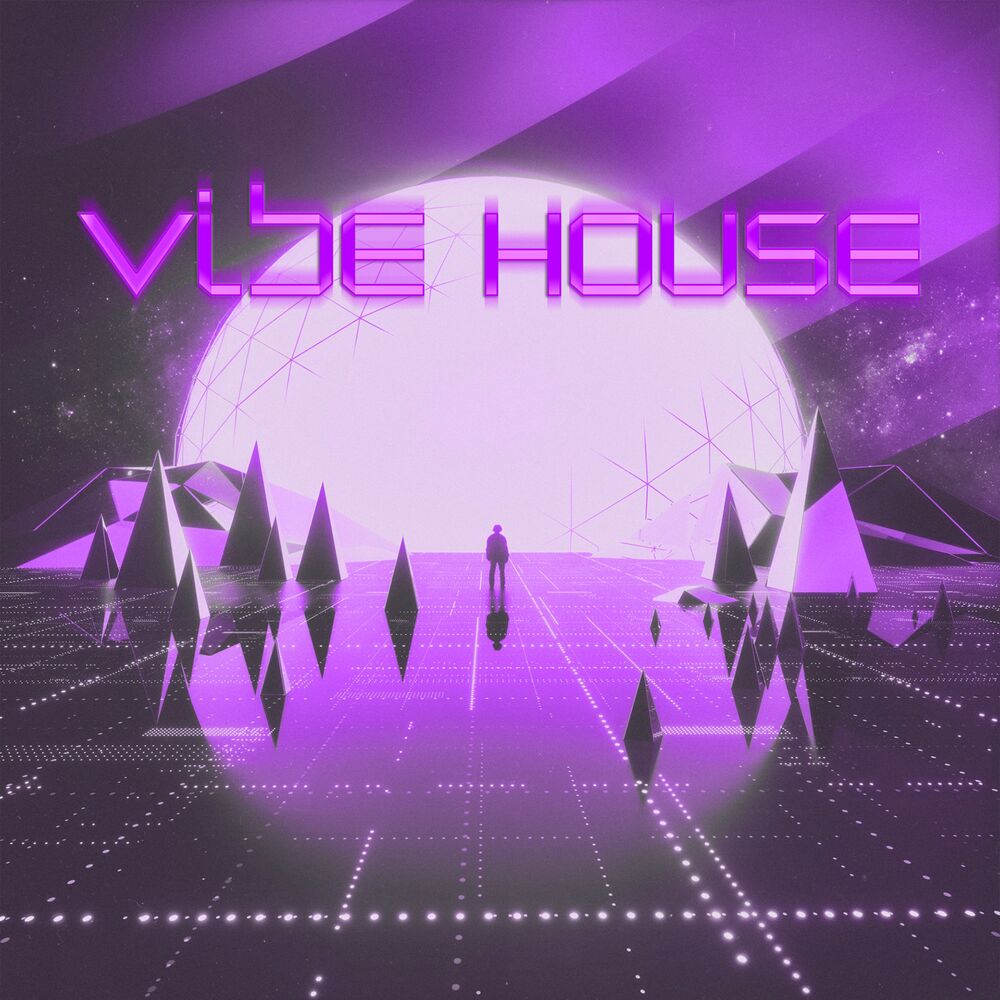 Picture of Vibe House