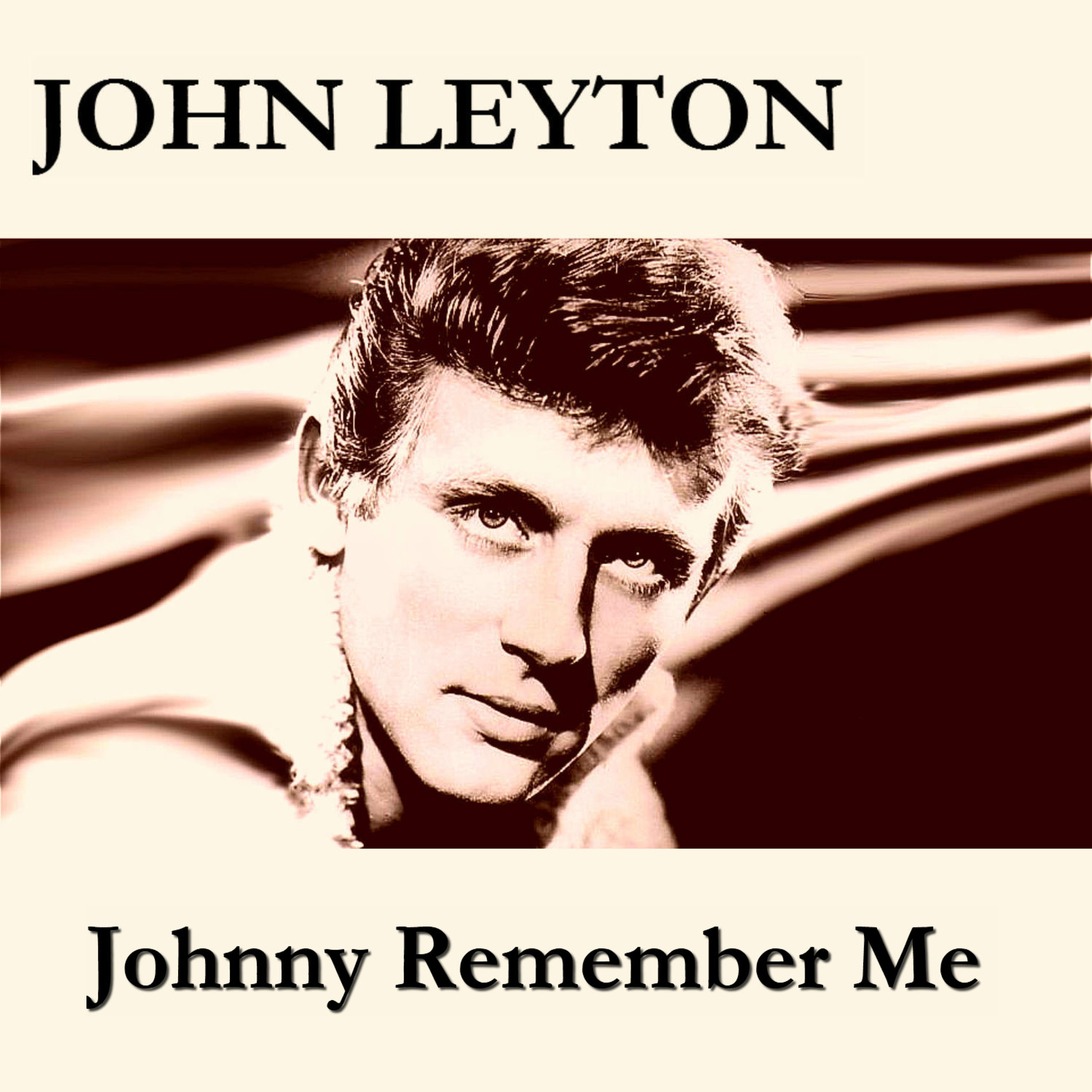 Album cover of Johnny Remember Me