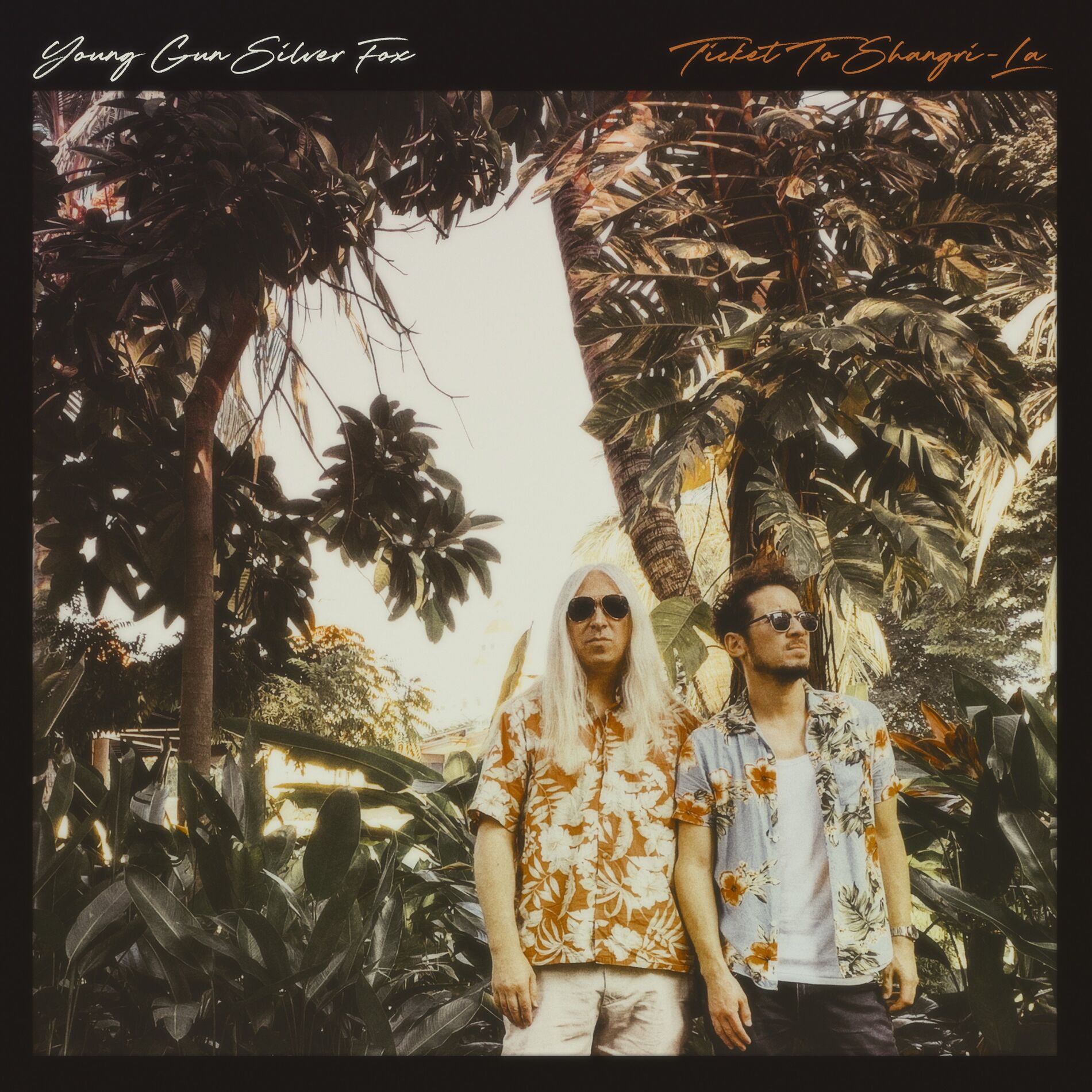 Album cover of Lodestar