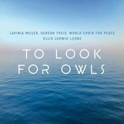 Cover of To Look for Owls