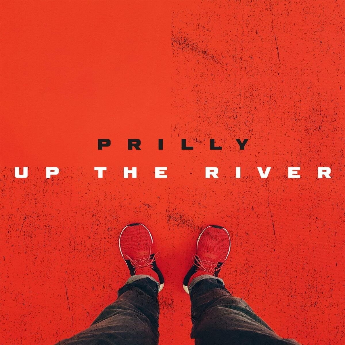 Album cover of Prilly up the River (Sly Remix)