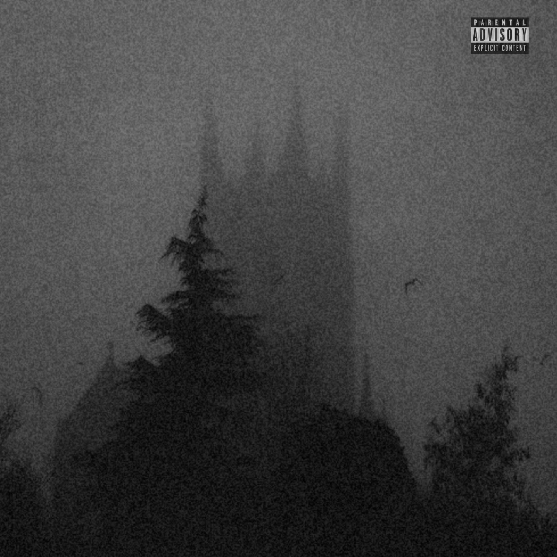 Album cover of Castle Chrome +